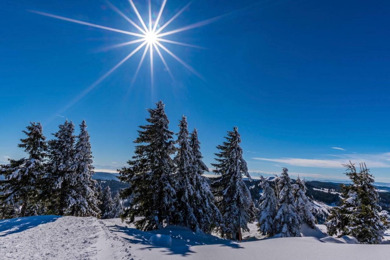 Hotel Waldeck Feldberg (Baden-Wurttemberg)